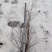 雪柳珍珠绣线菊二年苗盆栽绿植喷雪花带花苞苗