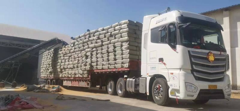 新鲜压缩稻壳河南安徽工厂直销常年供货日产80吨