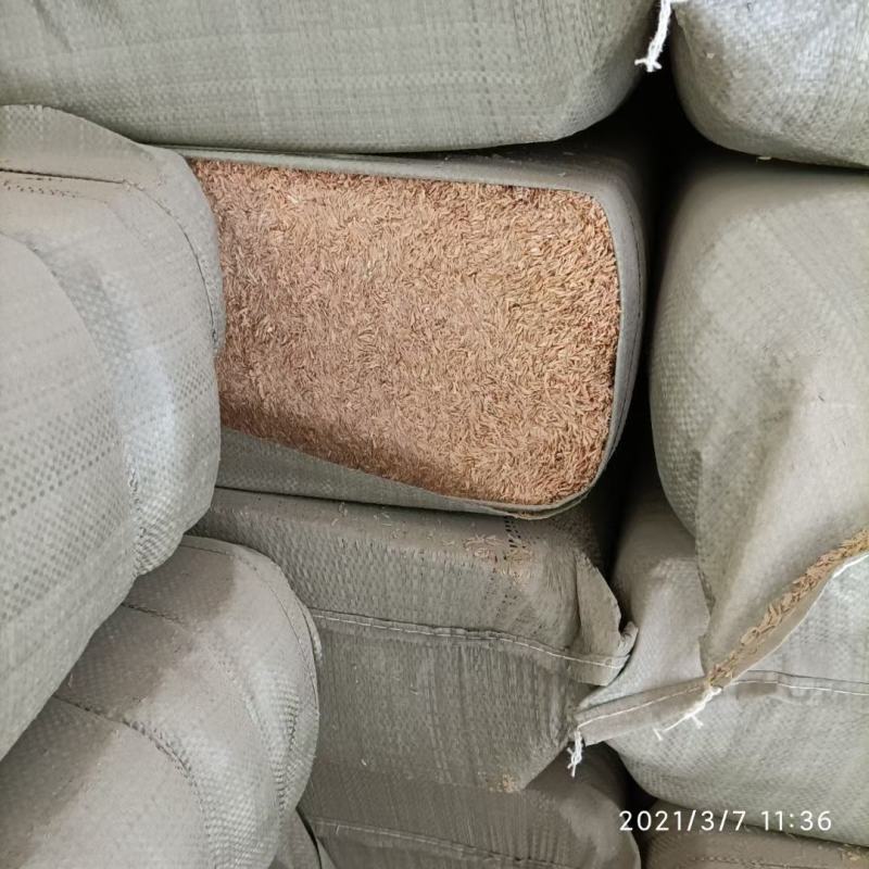 新鲜压缩稻壳河南安徽工厂直销常年供货日产80吨
