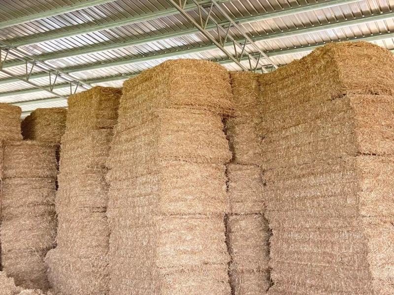 柔丝粉碎大捆麦秸400公斤30公斤粉碎除尘
