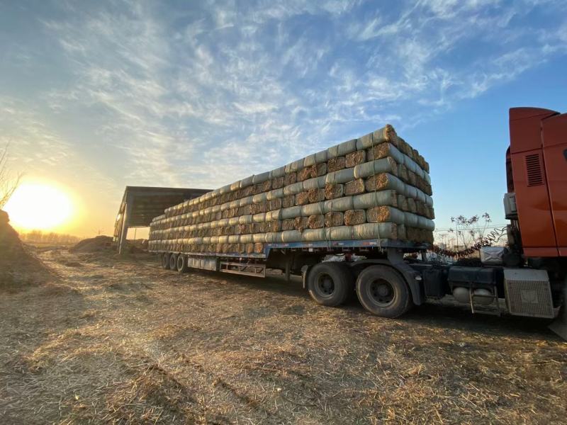 柔丝粉碎大捆麦秸400公斤30公斤粉碎除尘
