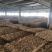 柔丝粉碎大捆麦秸400公斤30公斤粉碎除尘