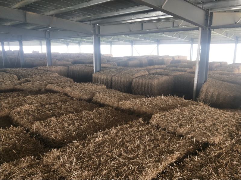 柔丝粉碎大捆麦秸400公斤30公斤粉碎除尘