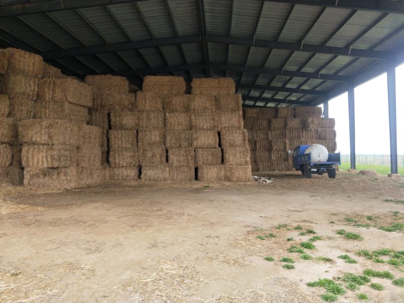 柔丝粉碎大捆麦秸400公斤30公斤粉碎除尘