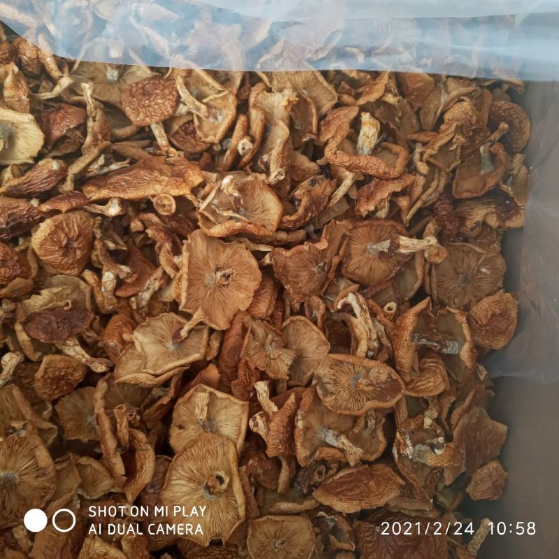 滑子菇来了，养生好食材