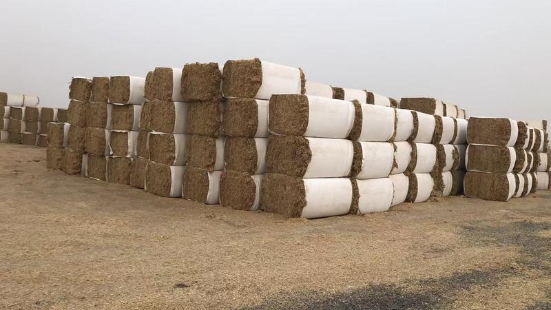 粉碎除尘大白包小麦秸秆适用于大型牛场菌场350公斤