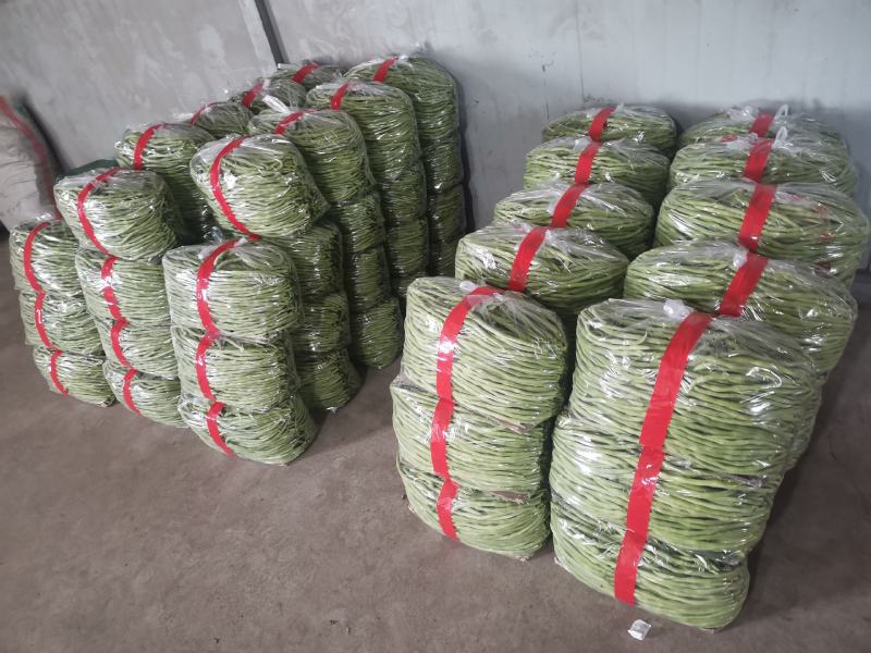 精品豆角豆王大量上市一手货源发往全国个大市场