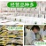 林木种子橡树种子新采苗木种子栎树种子栗茧蒙古栎娜塔莉种子