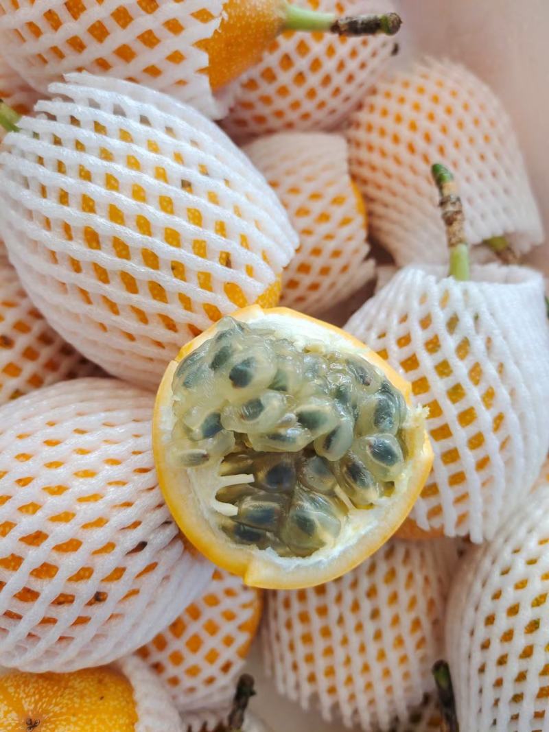 热情百香果苗，果子非常蜜甜好吃的，带土带叶发货