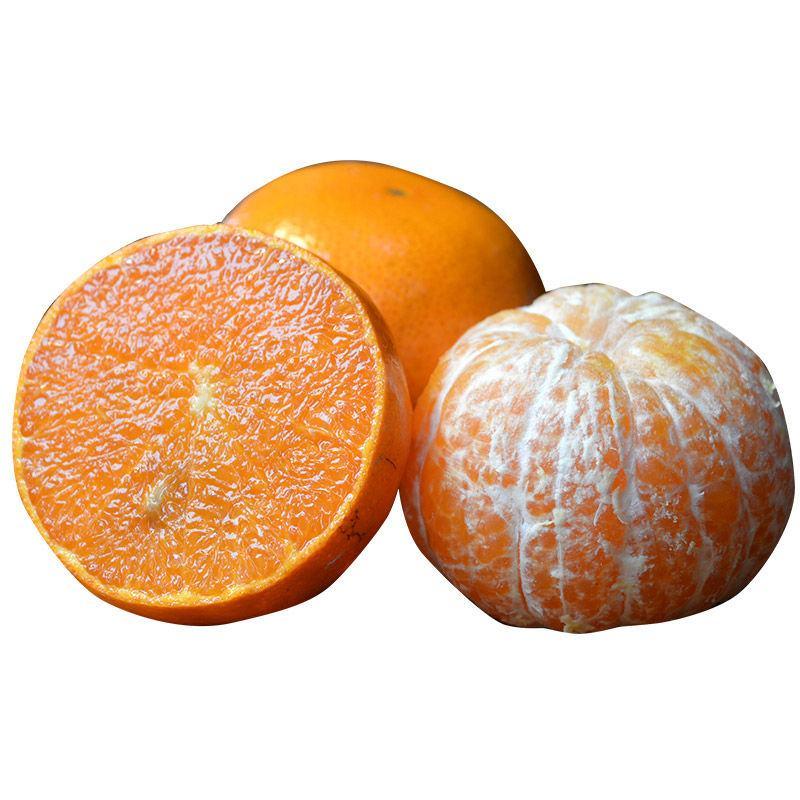 广西武鸣茂谷柑，现摘新鲜柑橘水果，一件代发