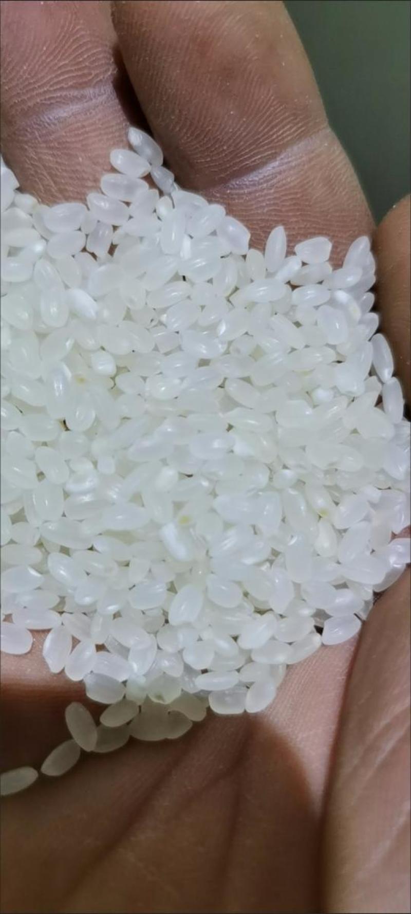 大米批发50斤起，镇雄附近送货上门