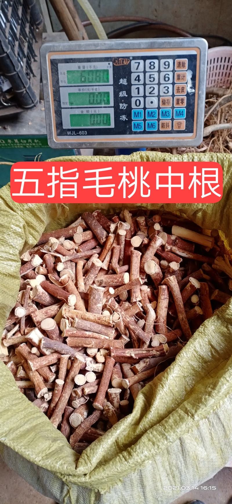 【无硫】新货（非种植）山野五指毛桃五爪龙无硫干货味香