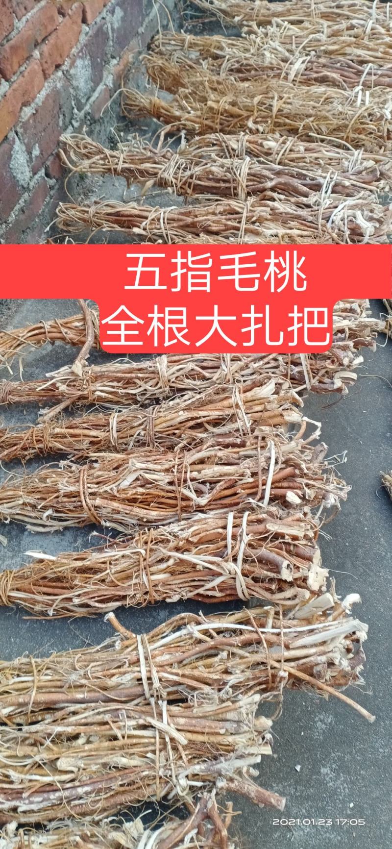 【无硫】新货（非种植）山野五指毛桃五爪龙无硫干货味香