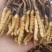 虫草全名为《冬虫夏草》生长在海拔4000米以上的高原上