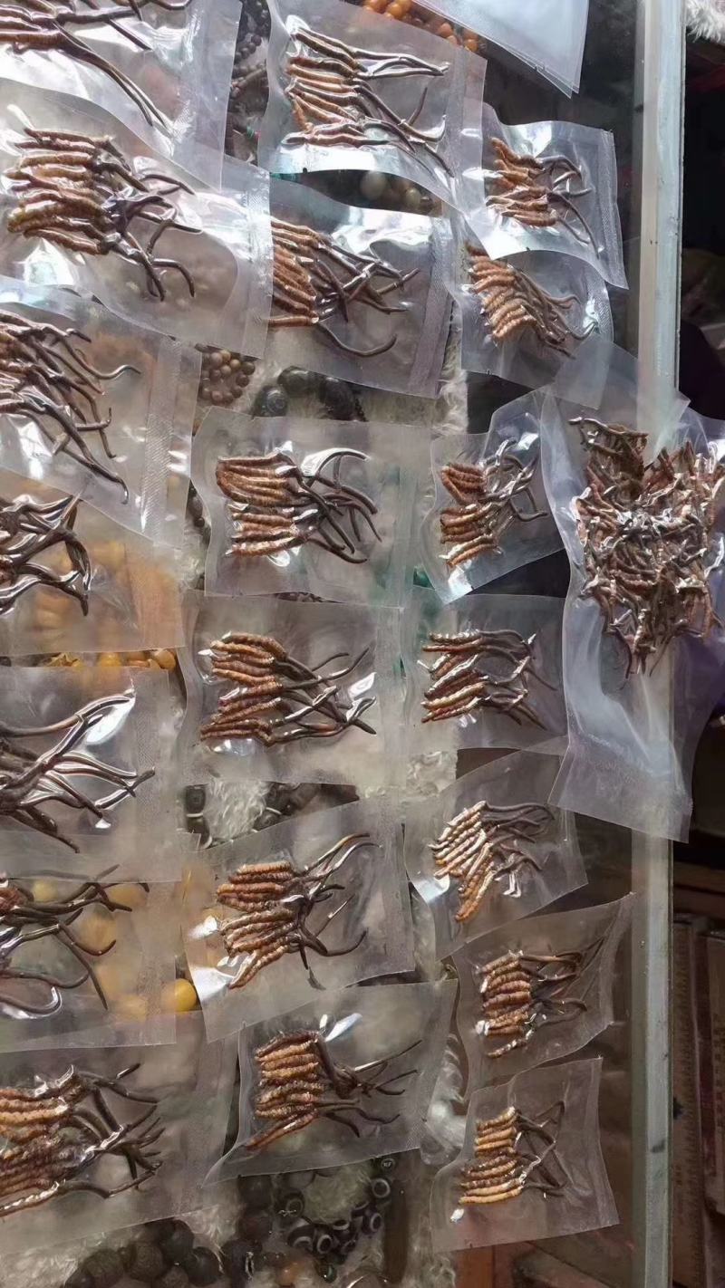 虫草全名为《冬虫夏草》生长在海拔4000米以上的高原上