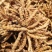 虫草全名为《冬虫夏草》生长在海拔4000米以上的高原上