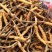 虫草全名为《冬虫夏草》生长在海拔4000米以上的高原上