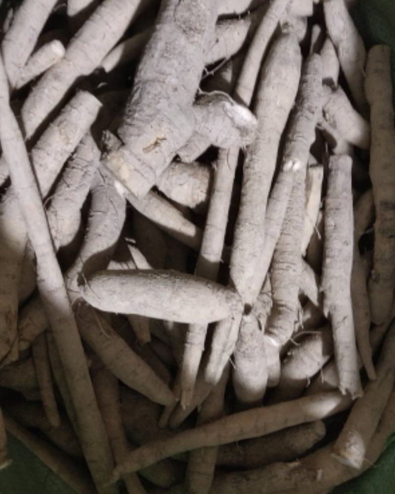 小叶牛大力牛大力鲜货牛大力粉薯，分等级