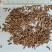 牛膝牛夕怀牛膝看规格下单，一件代发1000克