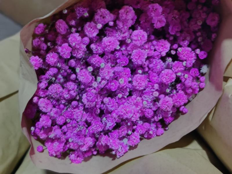 勿忘我水晶花情人草康乃馨干花永生花多种鲜切花