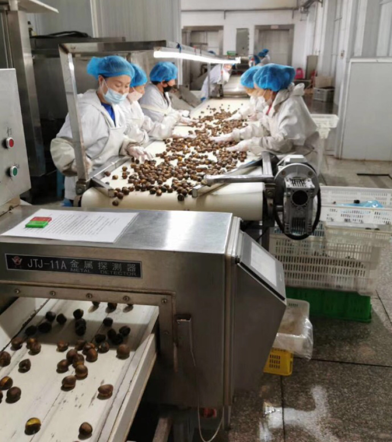 2022正宗迁西生板栗批发栗子批发价生油栗子糖炒板栗
