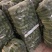 燕白黄瓜大量上市质量挺瓜瓜