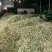 酥梨花粉，黄梨雪花梨花粉，库尔勒香梨授粉专果粉，保证活性