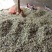 酥梨花粉，黄梨雪花梨花粉，库尔勒香梨授粉专果粉，保证活性