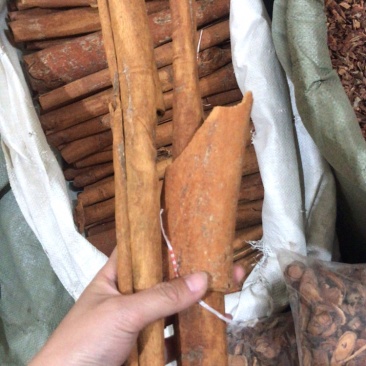 肉桂丝油归去皮肉桂肉桂丝大料肉桂筒桂筒肉筒