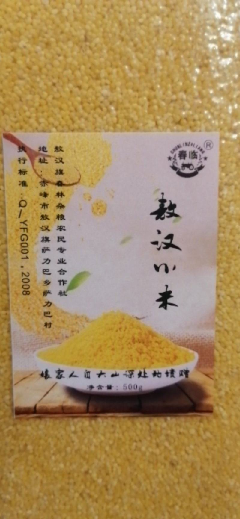 赤峰市敖汉旗坡地金苗K1小米黄金苗小米月子米放心米！