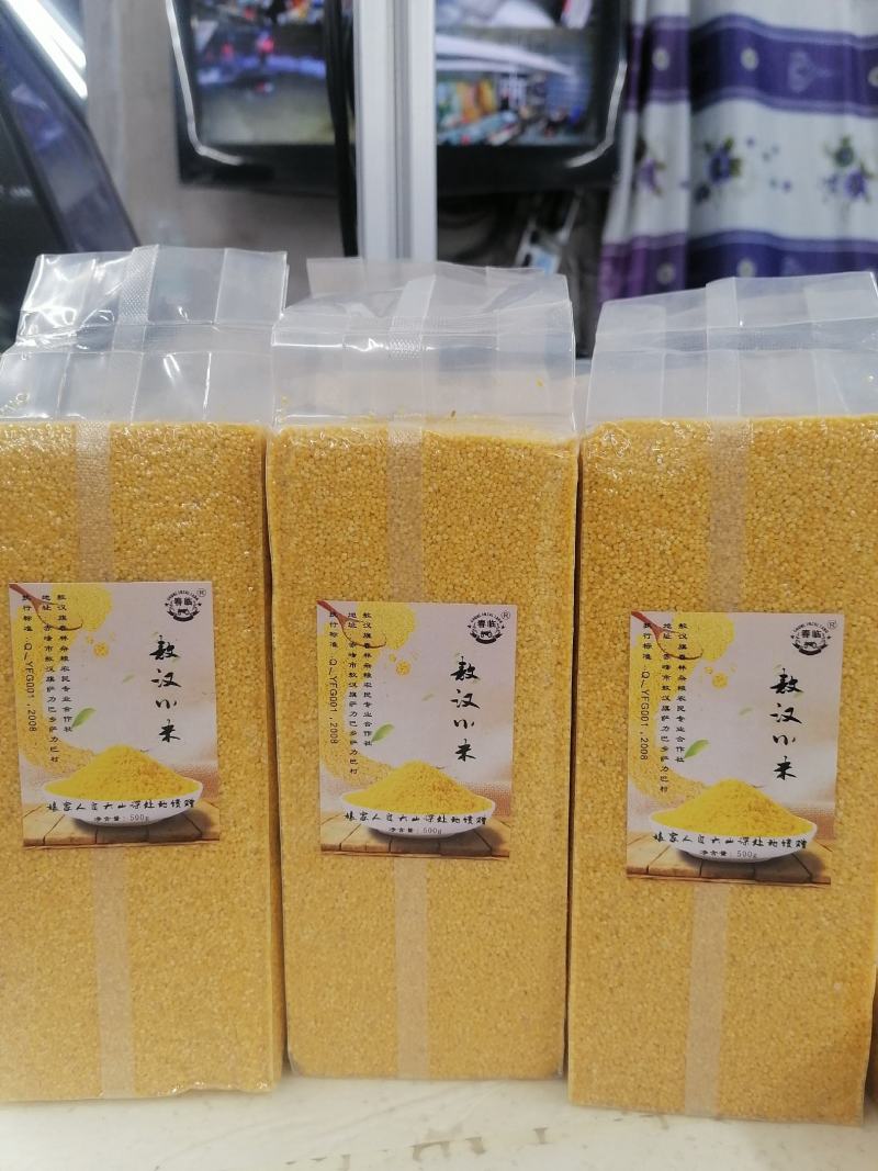 赤峰市敖汉旗坡地金苗K1小米黄金苗小米月子米放心米！
