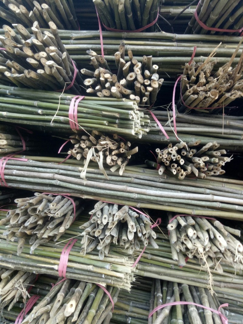 【包邮发货】菜架竹旗竿竹植树竿大棚竹竿一手货源