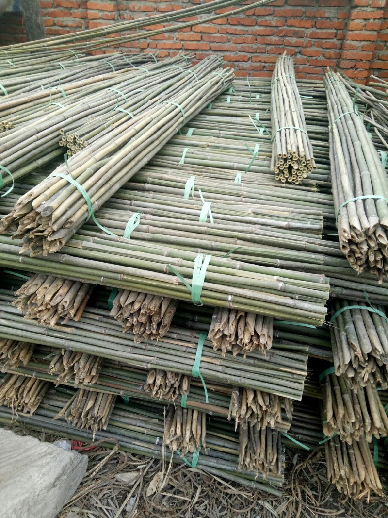 【包邮发货】菜架竹旗竿竹植树竿大棚竹竿一手货源