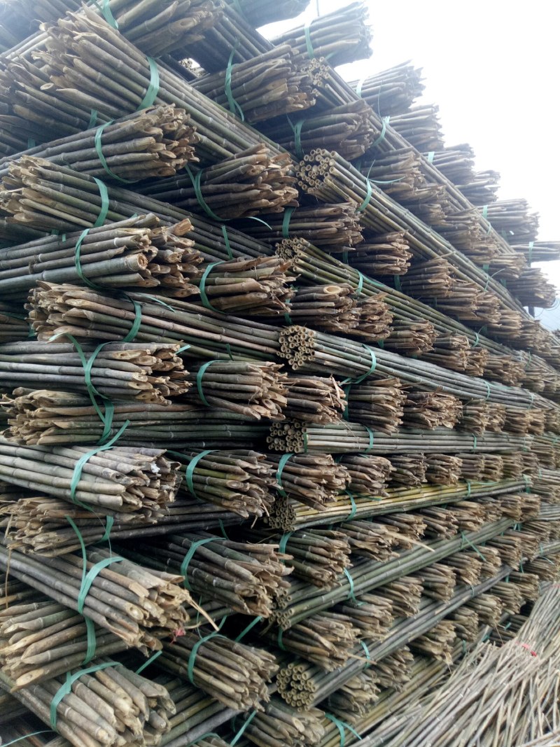 【包邮发货】菜架竹旗竿竹植树竿大棚竹竿一手货源