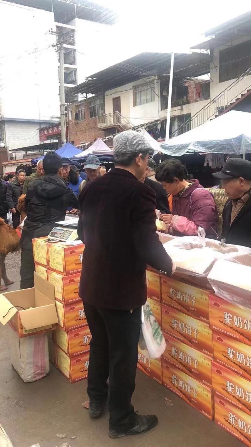 新疆驼奶饼干送骆驼送条幅送录音是6个口味