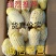 滕州2024年新土豆大量现货供应，黄皮黄心质量好颜色漂亮