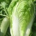 沂南大白菜大量上市了毛菜4~6斤量大品种全