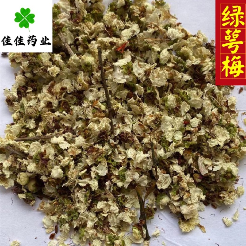 绿萼梅花绿梅花白梅花供应各种中药材