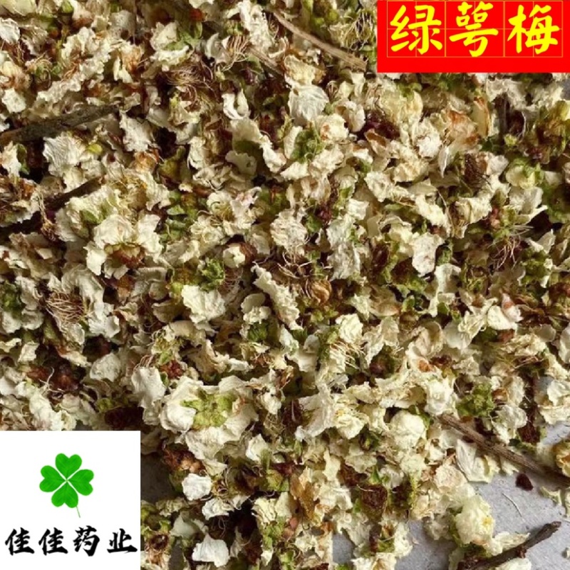 绿萼梅花绿梅花白梅花供应各种中药材