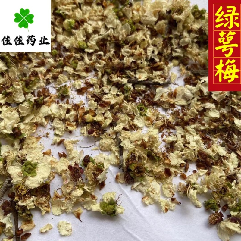 绿萼梅花绿梅花白梅花供应各种中药材