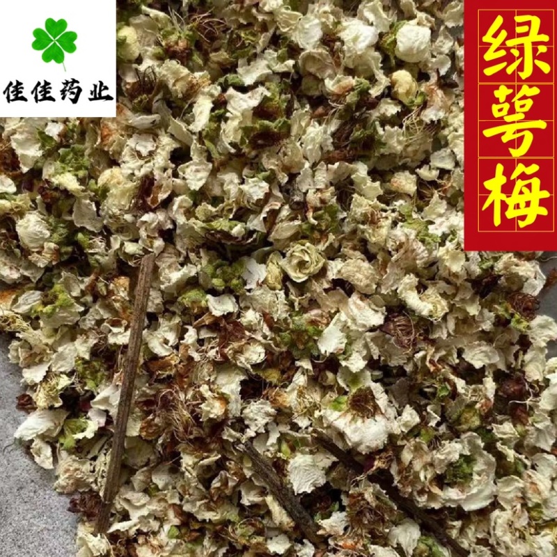 绿萼梅花绿梅花白梅花供应各种中药材