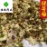 绿萼梅花绿梅花白梅花供应各种中药材