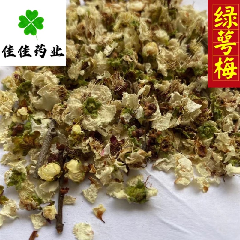 绿萼梅花绿梅花白梅花供应各种中药材