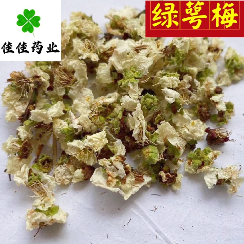绿萼梅花绿梅花白梅花供应各种中药材