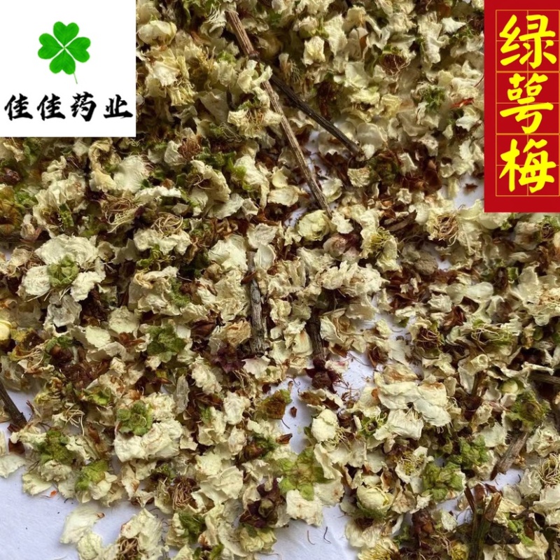 绿萼梅花绿梅花白梅花供应各种中药材