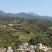 百花蜜农民山下养的正宗蜂蜜，浓度高，***。