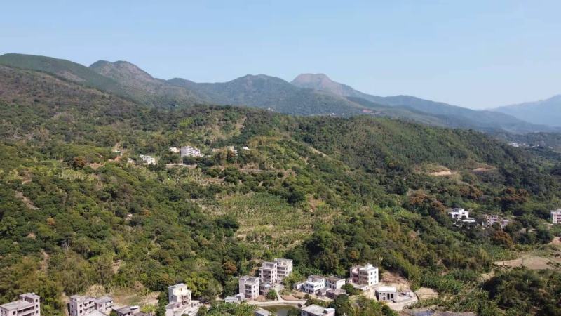百花蜜农民山下养的正宗蜂蜜，浓度高，***。
