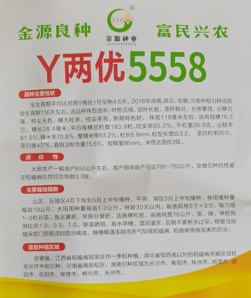 大穗杂交稻种子，Y两优5558稻谷种子抗病抗倒耐高温