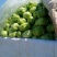河北甘蓝，扁包菜，宣甘蓝开始大量供应中，1.5斤至2斤