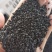 韭菜子正品无硫***正品可泡茶泡酒